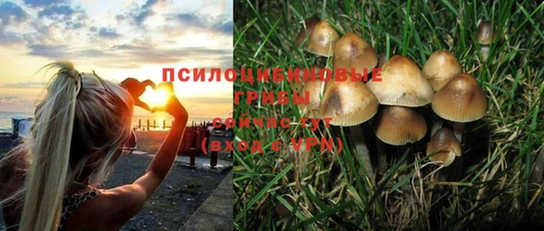 МДПВ Елизово