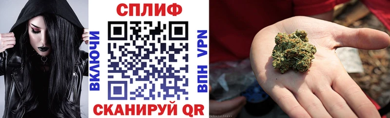 Конопля сатива  Купить где  Добрянка 